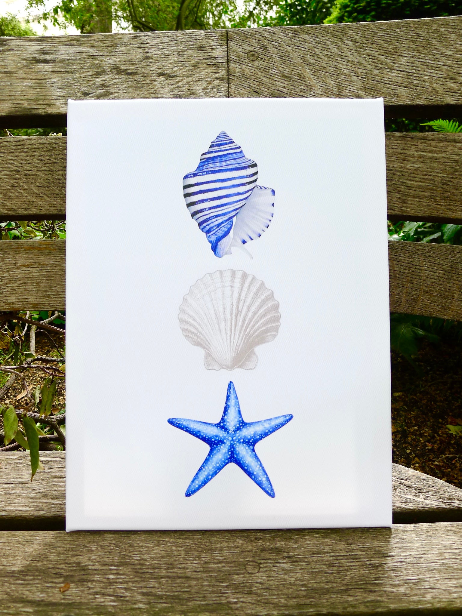 Seashells Rhinestone Kit